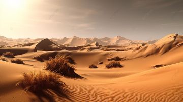 كبف ظهرت أم الحويطات وصحراء البحر الأحمر فى الأدب العربي؟ صور كبف ظهرت أم الحويطات وصحراء البحر الأحمر فى الأدب العربي؟ صور