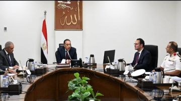 رئيس الوزراء يتابع منظومة التعامل مع ظاهرة الكلاب الضالة رئيس الوزراء يتابع منظومة التعامل مع ظاهرة الكلاب الضالة