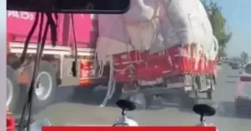 سائق تريلا يمنع كارثة فى اللحظة الأخيرة سائق تريلا يمنع كارثة فى اللحظة الأخيرة