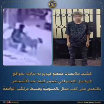 الداخلية تضبط المتهم بالتعدي على كلب في المنوفية الداخلية تضبط المتهم بالتعدي على كلب في المنوفية
