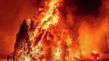 حراق الغابات تحجب الشمس عن نيويورك حراق الغابات تحجب الشمس عن نيويورك