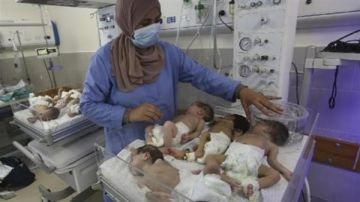 الحمل تحت القصف.. تدهور الصحة الإنجابية في غزة الحمل تحت القصف.. تدهور الصحة الإنجابية في غزة