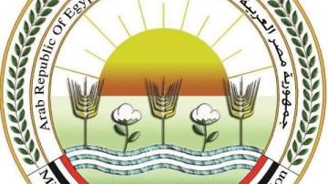  الزراعة تحسم الجدل بشأن انتشار وبائي لمرض الجلد العقدي بين الماشية