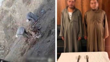 القبض على المتهمين بسلخ جلد حمار بالبحيرة القبض على المتهمين بسلخ جلد حمار بالبحيرة