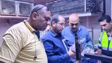 ضبط 4 أطنان لحوم غير صالحة للاستهلاك الآدمي داخل مصنع بالقليوبية