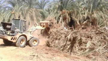 الوادي الجديد تحذر من إشعال المخلفات الزراعية بالحقول الوادي الجديد تحذر من إشعال المخلفات الزراعية بالحقول