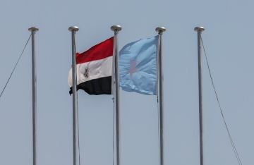 مصر توجه رسالة جديدة بشأن إقليم أرض الصومال مصر توجه رسالة جديدة بشأن إقليم أرض الصومال