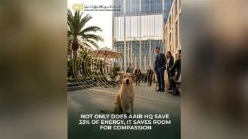 البنك العربى الافريقى الدولى يسلط الضوء على البعد الإنساني في مقره الجديد AAIB 1-90 HQ 