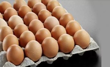 سعر البيض اليوم الجمعة في الأسواق سعر البيض اليوم الجمعة في الأسواق