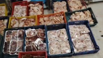 قنا.. ضبط 380 كيلو لحوم غير صالحة للاستهلاك الآدمى قنا.. ضبط 380 كيلو لحوم غير صالحة للاستهلاك الآدمى
