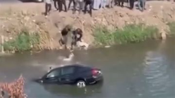 100 ألف جنيه وتكريم برلماني للبطل أحمد مجدي البنا منقذ أسرة الغربية 100 ألف جنيه وتكريم برلماني للبطل أحمد مجدي البنا منقذ أسرة الغربية