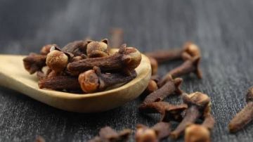 ماذا يحدث للجسم عند مضغ القرنفل كل صباح؟.. فوائد مذهلة ماذا يحدث للجسم عند مضغ القرنفل كل صباح؟.. فوائد مذهلة