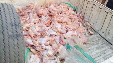 ضبط ربع طن دواجن محقونة بالمياه وغير صالحة للاستهلاك بالمنوفية ضبط ربع طن دواجن محقونة بالمياه وغير صالحة للاستهلاك بالمنوفية