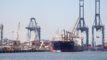 ميناء دمياط يستقبل 8 سفن حاويات وبضائع عامة ميناء دمياط يستقبل 8 سفن حاويات وبضائع عامة