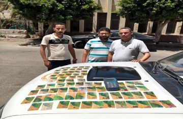 بهدف الضرب الوهمي .. ضبط 76 بطاقة تموينية داخل أحد المخابز البلدية بالإسكندرية صور