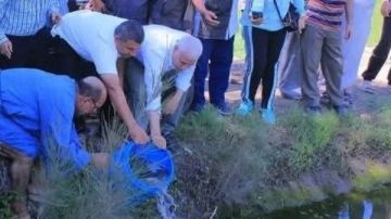 زراعة الشرقية تنفذ مشروع الزراعة التكاملية بتنزيل الزريعة السمكية في حقول الأرز زراعة الشرقية تنفذ مشروع الزراعة التكاملية بتنزيل الزريعة السمكية في حقول الأرز