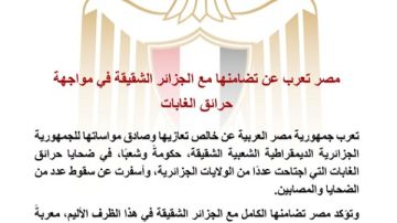 مصر تعرب عن تضامنها مع الجزائر الشقيقة في مواجهة حرائق الغابات مصر تعرب عن تضامنها مع الجزائر الشقيقة في مواجهة حرائق الغابات