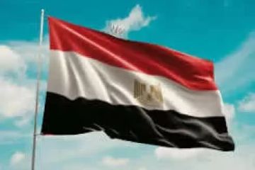مصر تدين الهجمات الإرهابية فى باكستان مصر تدين الهجمات الإرهابية فى باكستان