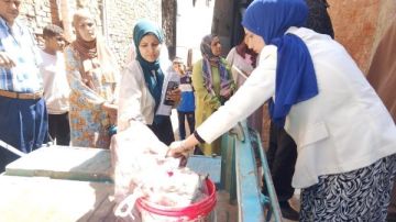ضبط سلخانة والتحفظ على لحوم فاسدة في المنوفية ضبط سلخانة والتحفظ على لحوم فاسدة في المنوفية