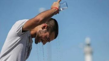 غير العصائر .. أعشاب تخفف الحر غير العصائر .. أعشاب تخفف الحر