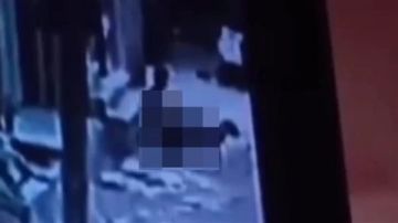 الأجهزة الأمنية بالمنوفية تفحص فيديو واقعة التعدي على كلبة الأجهزة الأمنية بالمنوفية تفحص فيديو واقعة التعدي على كلبة