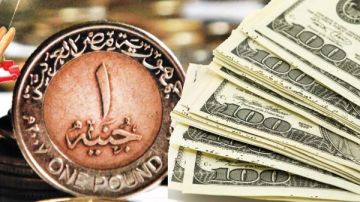الدولار في البنوك بعد تحديد سعر الفائدة الآن الدولار في البنوك بعد تحديد سعر الفائدة الآن