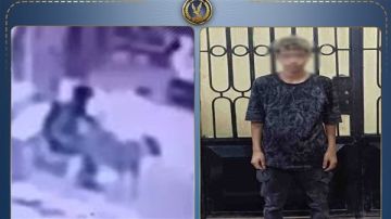 ضبط صاحب فيديو التعدي جنسيا على كلب في المنوفية ضبط صاحب فيديو التعدي جنسيا على كلب في المنوفية
