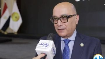 قمحة: السياسة الخارجية المصرية شهدت تحولا استراتيجيا منذ 2014 قمحة: السياسة الخارجية المصرية شهدت تحولا استراتيجيا منذ 2014