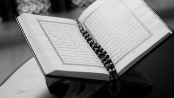 سر قوة المجتمع في آية قرآنية.. أمين الفتوى يكشف عنها