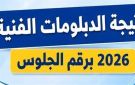 اضغط هنا.. نتيجة الدبلومات الفنية للعام الدراسي 2026 برقم الجلوس