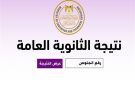 نتيجة الثانوية العامة 2026.. لينك الاستعلام عبر موقع الرئيس نيوز - eg