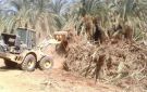 الوادي الجديد تحذر من إشعال المخلفات الزراعية بالحقول