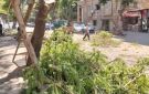 محافظ الجيزة يوجه بسرعة التعامل مع شكاوى المواطنين وسرعة حلها