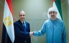 وزير الخارجية لنظيره الإماراتي: نرفض أي محاولات لفرض قيود على المرور في الممرات المائية الدولية