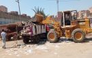 محافظ الغربية: رفع 270 طن مخلفات بالمحلة الكبرى - eg