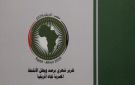  الاستعلامات : 118 نشاطا مصريا تجاه إفريقيا خلال يونيو شملت 36 دولة و25 منظمة إقليمية ودولية