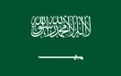إرادة جيل: استهداف السعودية اعتداء على الأمة العربية.. وأمن المملكة خط أحمر لا يقبل المساومة