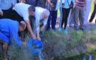زراعة الشرقية تنفذ مشروع الزراعة التكاملية بتنزيل الزريعة السمكية في حقول الأرز - eg