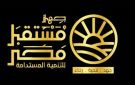 عاجل تحول جذري ينتظر مستقبل مصر .. تدشين صندوق سيادي وجهاز لـ التنمية المستدامة (إنفوجراف)