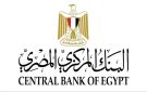 مصر تقود إعداد ونشر أول تقرير للاستقرار المالي على مستوى إفريقيا