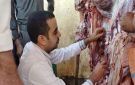 طب بيطري سوهاج يعدم عجلا مصابا بديدان الساركوسيست