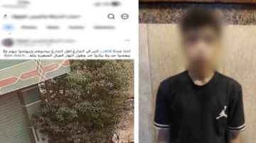 كان بيلعب .. القبض على طالب تعدى على كلب بالقليوبية كان بيلعب .. القبض على طالب تعدى على كلب بالقليوبية