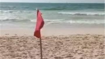 رئيس اتحاد الغوص والإنقاذ يحذر من السباحة مع الراية الحمراء رئيس اتحاد الغوص والإنقاذ يحذر من السباحة مع الراية الحمراء