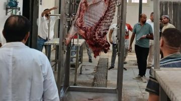 محافظ سوهاج يعلن بدء التشغيل التجريبي لمجزر أخميم محافظ سوهاج يعلن بدء التشغيل التجريبي لمجزر أخميم
