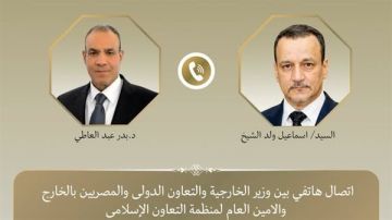 وزير الخارجية يبحث مع أمين عام منظمة التعاون الإسلامي القضية الفلسطينية