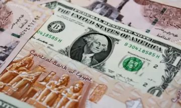 سعر الدولار اليوم الأحد في مصر