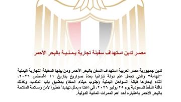 مصر تدين استهداف سفينة تجارية يمنية بالبحر الأحمر مصر تدين استهداف سفينة تجارية يمنية بالبحر الأحمر