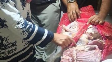 ضبط ربع طن فراخ ولحوم فاسدة في المنوفية ضبط ربع طن فراخ ولحوم فاسدة في المنوفية