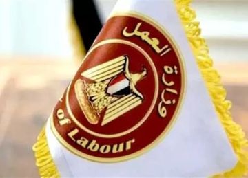 للمؤهلات العليا.. وزارة العمل تعلن عن وظائف تعليمية وإدارية حتى سن 55 عاما