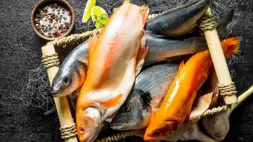 العراق تعزز الغذاء بإطلاق 155 مليون سمكة.. وتحذيرات من تهديد السلور الأفريقي العراق تعزز الغذاء بإطلاق 155 مليون سمكة.. وتحذيرات من تهديد السلور الأفريقي